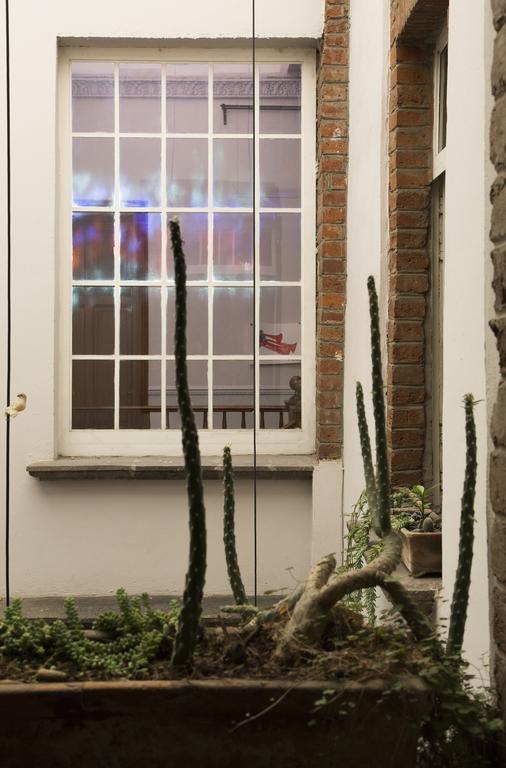 El Patio 77 B&B Ciudad de México Exteriér fotografie