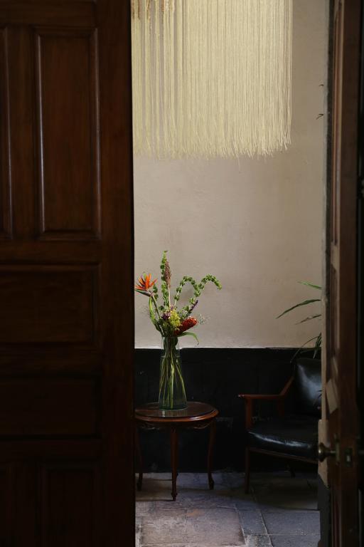 El Patio 77 B&B Ciudad de México Exteriér fotografie